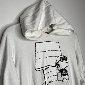 KAWS x PEANUTS JOE KAWS DOGHOUSE